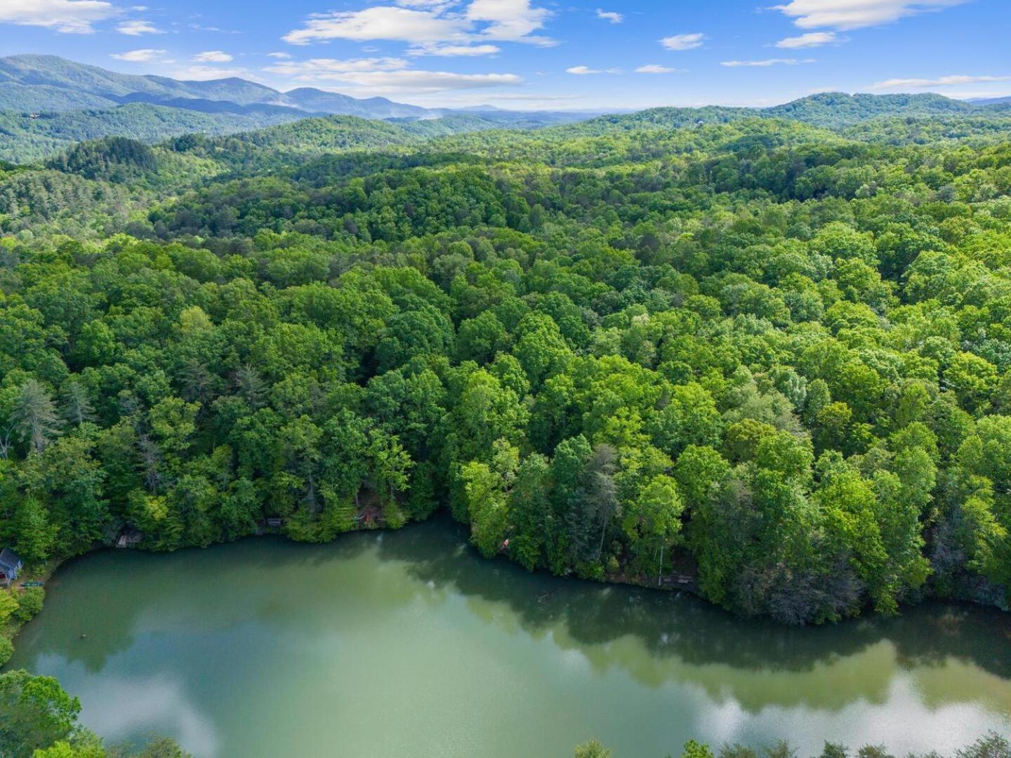 Cherry Lake Hideaway Blue Ridge Buitenkant foto